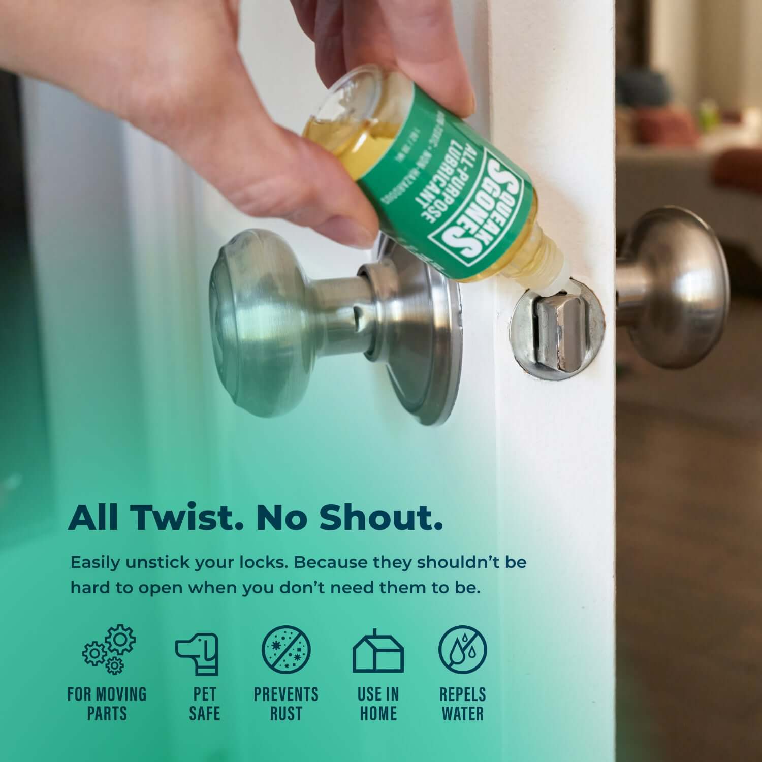 SqueaksGone All-Purpose Lubricant (Specialty, 1 oz) applied to door lock to stop squeaks and loosen stuck locks